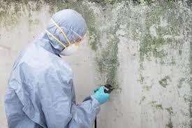 Trusted Connell, WA Mold Remediation Experts